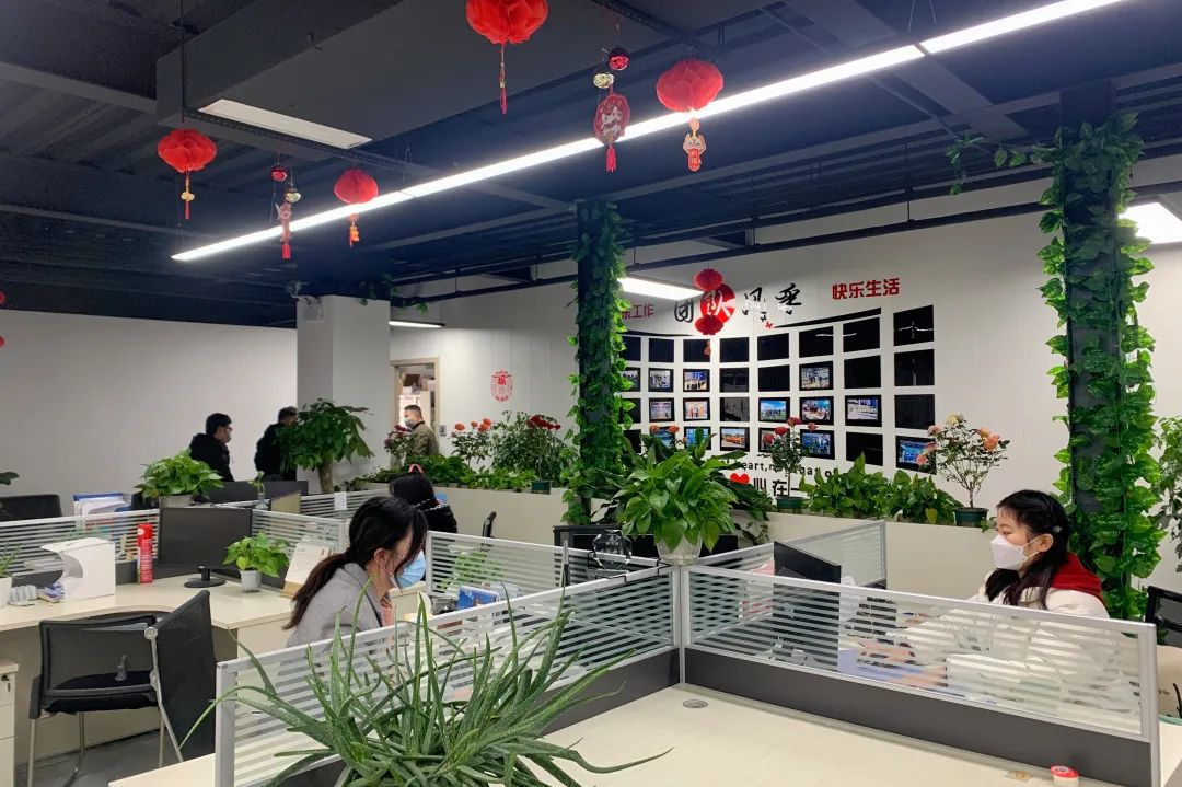 新年新氣象下的普菲德！
